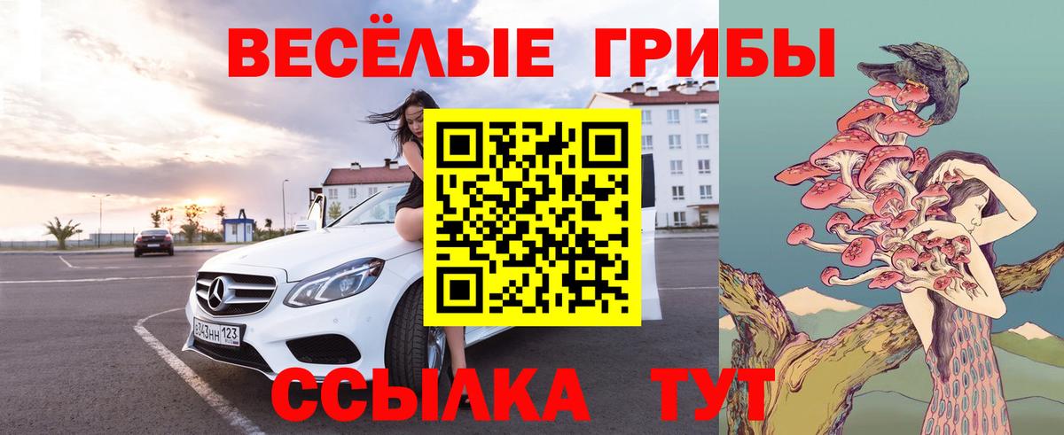 Шатура  Псилоцибиновые грибы прущие грибы  Вход с VPN 