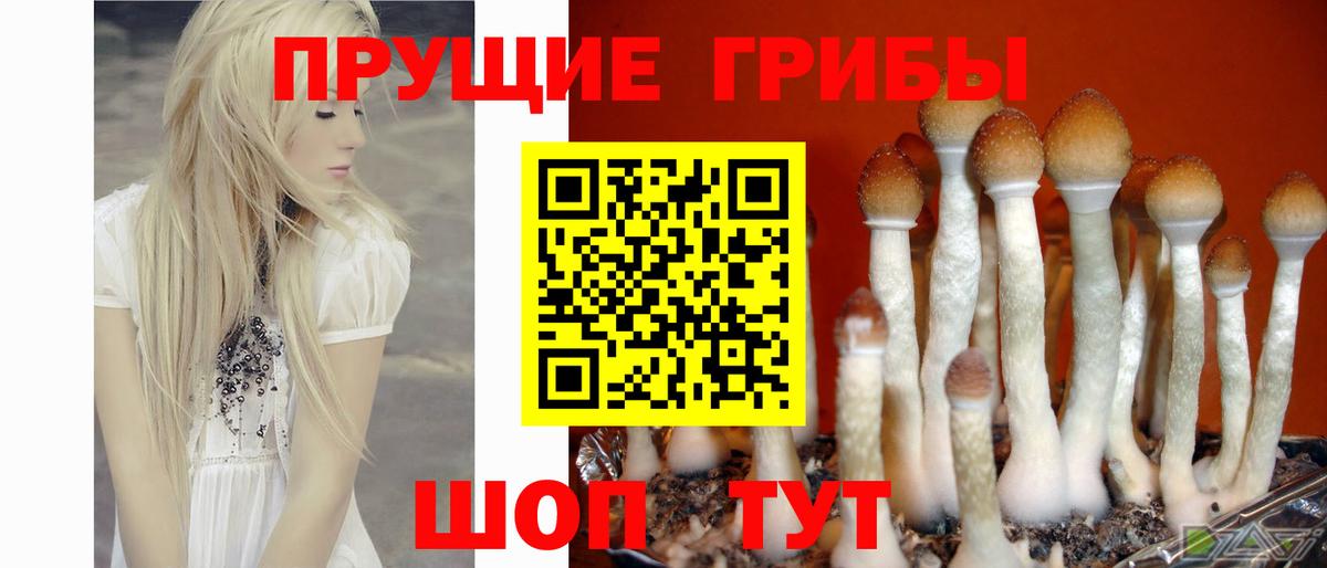 Галлюциногенные грибы мицелий Шатура